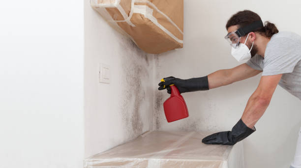 Professional Bathroom Mold Removal technician working in Milton, PA