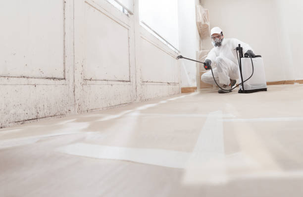 24/7 Emergency Bathroom Mold Removal experts in Milton, PA